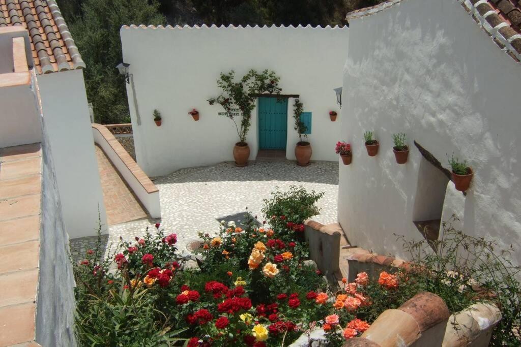 Casa Rosa, Con Encanto Y Piscina Climatizada Фріхіліана Екстер'єр фото