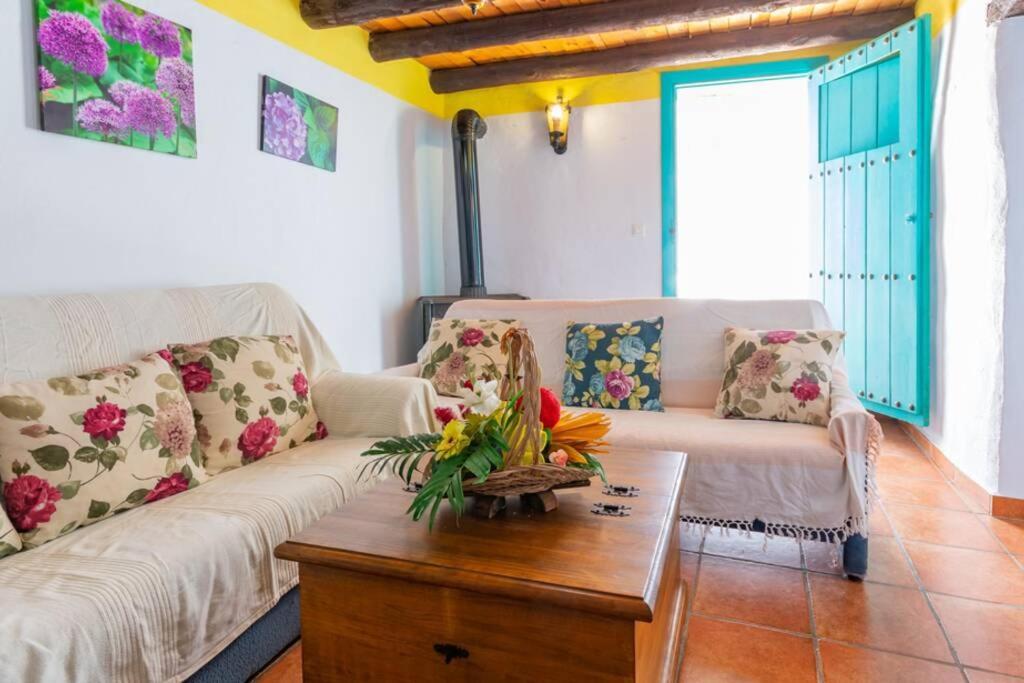 Casa Rosa, Con Encanto Y Piscina Climatizada Фріхіліана Екстер'єр фото